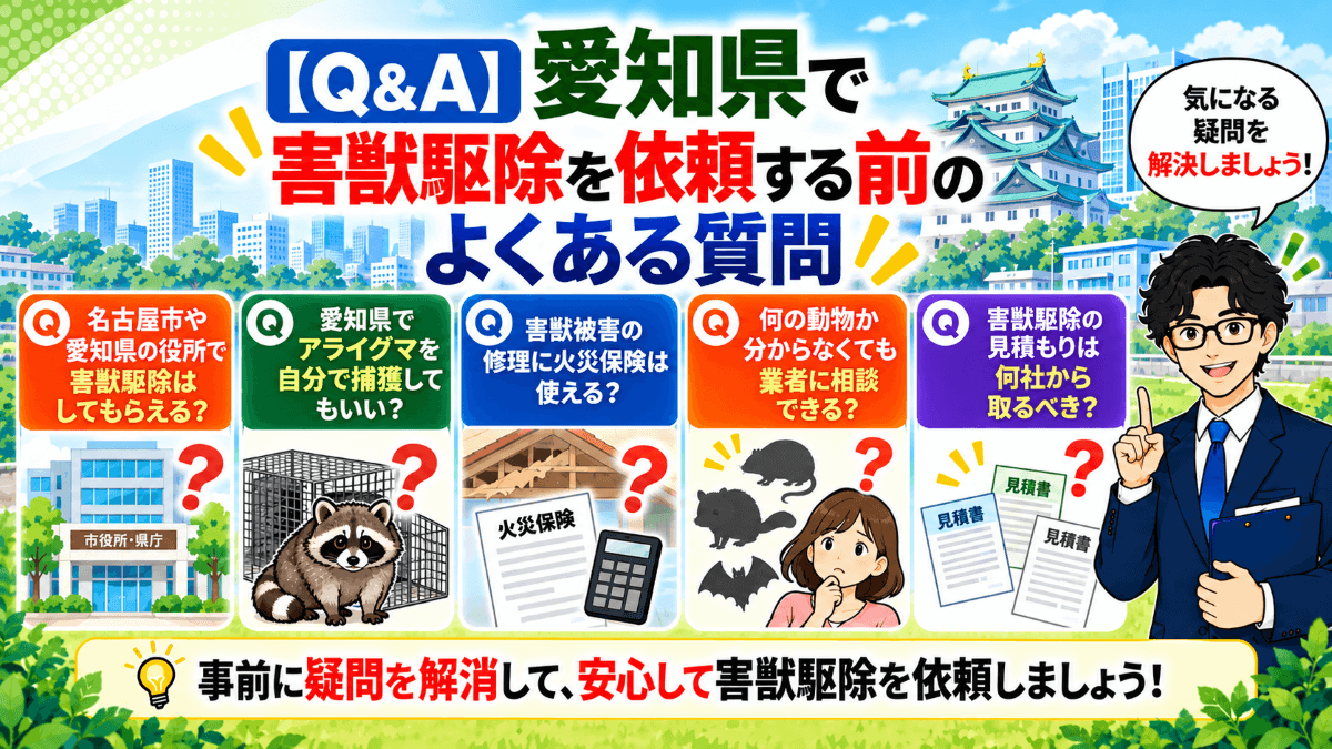 【Q&A】愛知県で害獣駆除を依頼する前のよくある質問