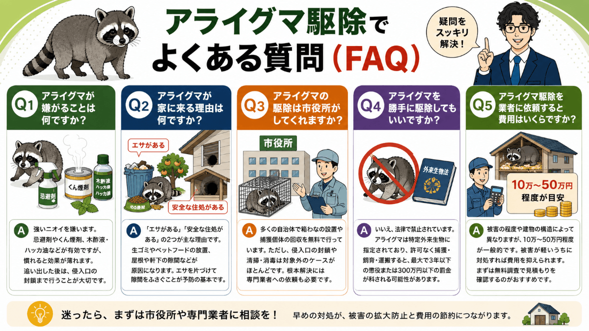 アライグマ駆除でよくある質問（FAQ）