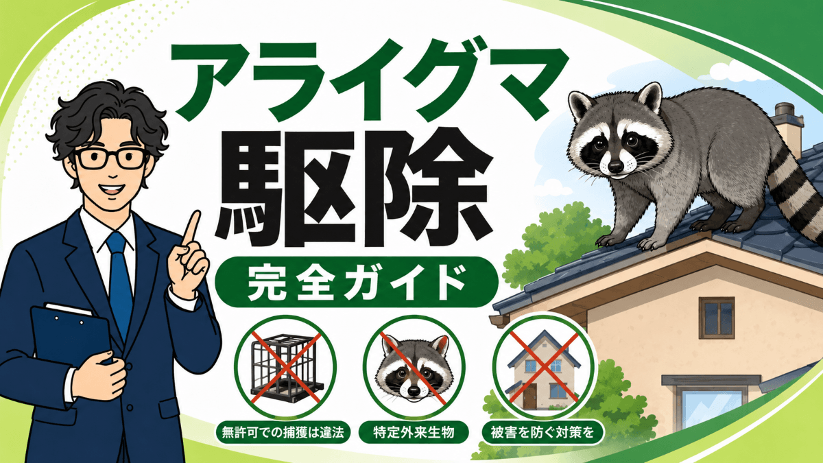 アライグマ駆除の完全ガイド｜特定外来生物の正しい対処法と禁止事項をFPが解説