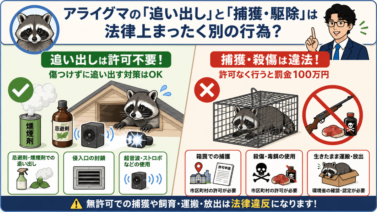 アライグマの「追い出し」と「捕獲・駆除」は法律上まったく別の行為？