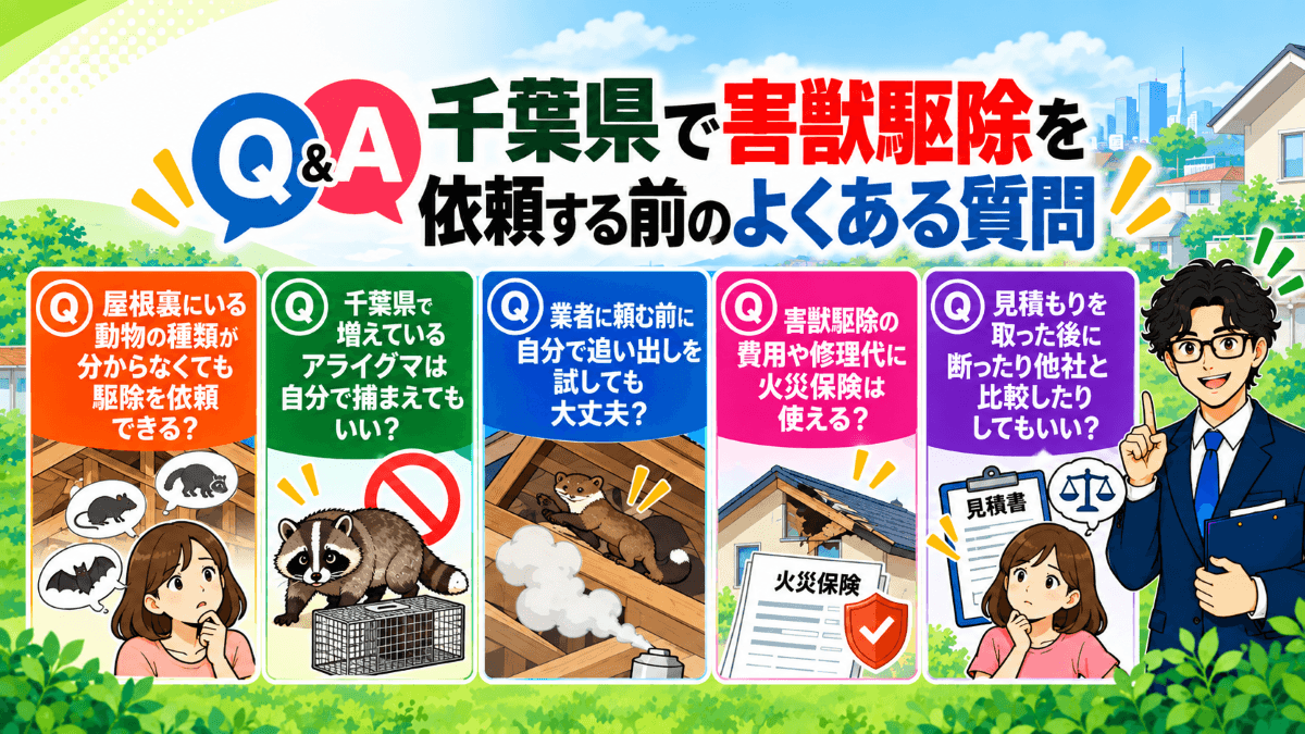 【Q&A】千葉県で害獣駆除を依頼する前のよくある質問