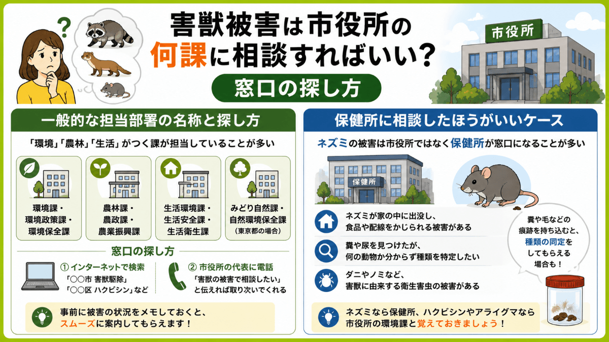害獣被害は市役所の何課に相談すればいい?窓口の探し方