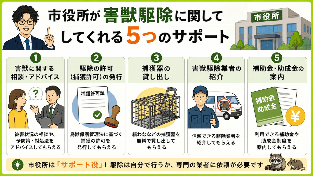 市役所が害獣駆除に関してしてくれる5つのサポート