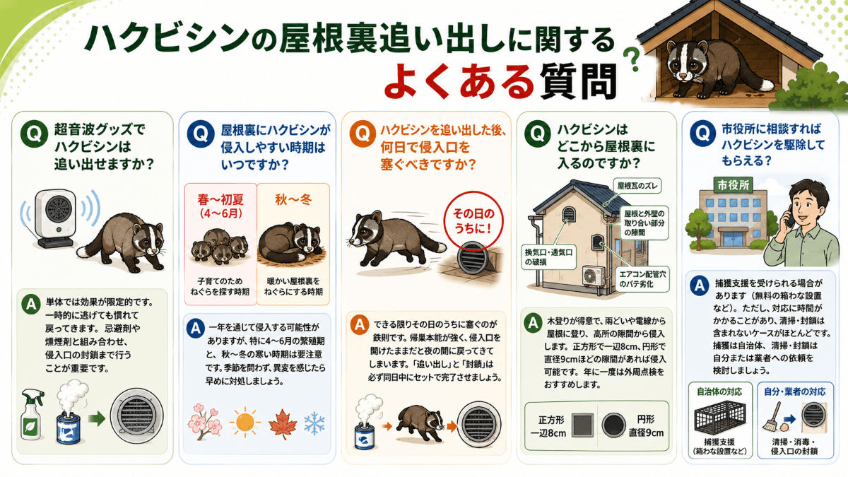 ハクビシンの屋根裏追い出しに関するよくある質問