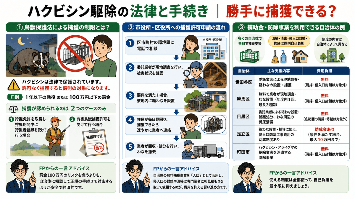 ハクビシン駆除の法律と手続き｜勝手に捕獲できる？