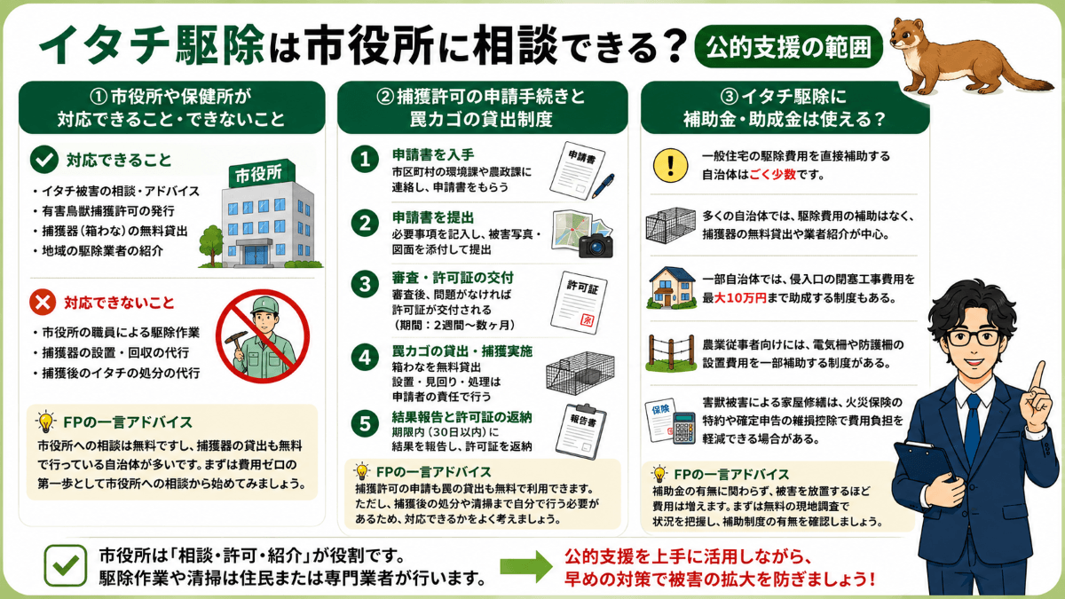イタチ駆除は市役所に相談できる?公的支援の範囲