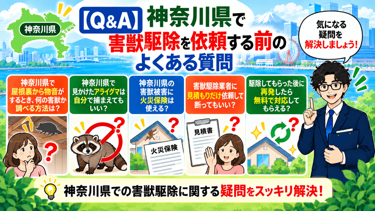 【Q&A】神奈川県で害獣駆除を依頼する前のよくある質問