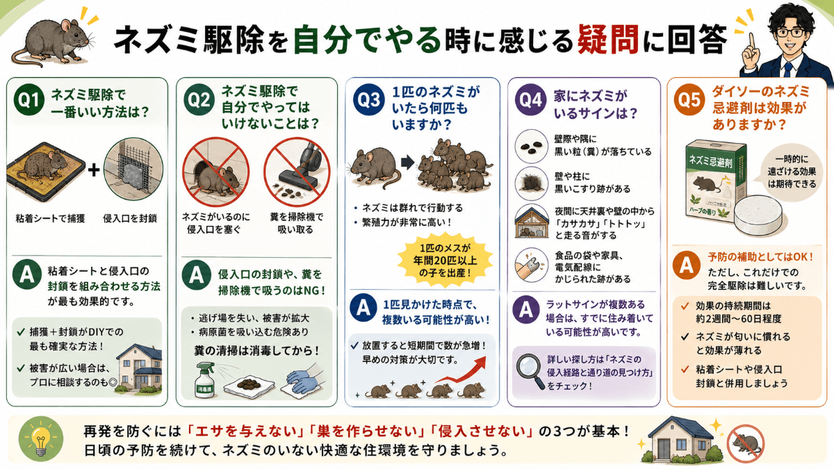ネズミ駆除を自分でやる時に感じる疑問に回答
