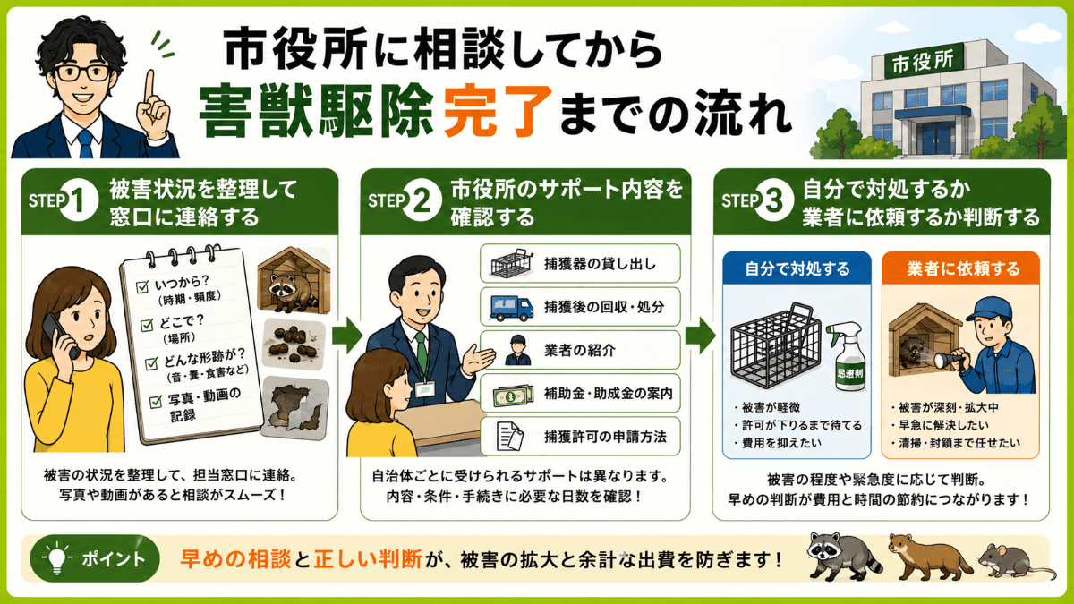 市役所に相談してから害獣駆除完了までの流れ