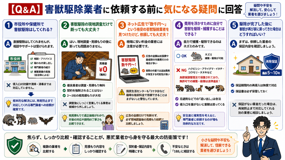 【Q&A】害獣駆除業者に依頼する前に気になる疑問に回答