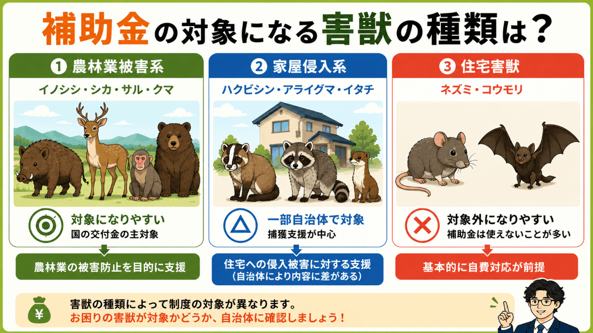 補助金の対象になる害獣の種類は?