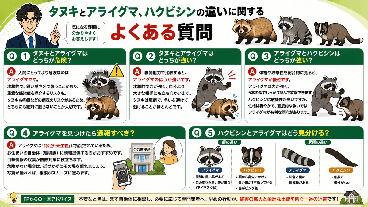 タヌキとアライグマ、ハクビシンの違いに関するよくある質問