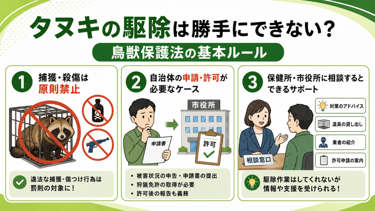タヌキの駆除は勝手にできない?鳥獣保護法の基本ルール
