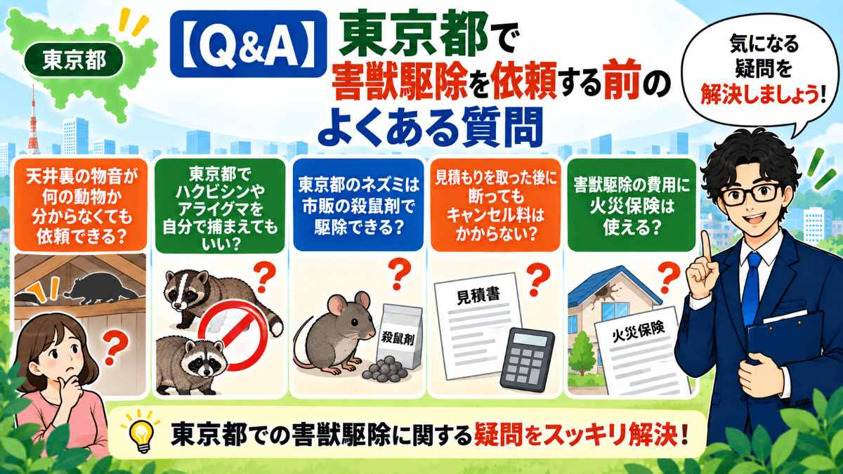 【Q&A】東京都で害獣駆除を依頼する前のよくある質問
